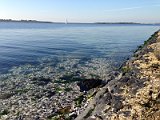 2015-10-02 16-59-23_1